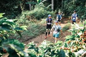 BIB: 
                            <button type="button" onclick="openModal(25850879)" class="btn btn-primary btn-sm float-right btn-popup" data-toggle="modal" data-target=".modal-high-quality">
                        <i class="fas fa-shopping-cart"></i> Add to Cart
                    </button>
                                            <button type="button" onclick="isThisMe(25850879, true)" class="btn btn-success btn-sm float-right btn-popup btn-isme hidden" data-toggle="tooltip" data-placement="bottom" title="นี่คือรูปของคุณใช่ไหม คลิกที่นี่เพื่อเอาเข้าอัลบั้ม">
                        <i class="fas fa-plus"></i> Add to album
                    </button>
                    <button type="button" onclick="isThisMe(25850879, false)" class="btn btn-warning btn-sm float-right btn-popup btn-isnotme hidden">
                        <i class="fas fa-ban"></i> Remove from album
                    </button>